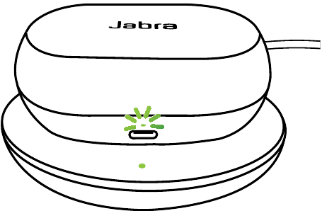STATUS VAN DE OPLAADCASE MET DRAADLOZE OPLAADPAD