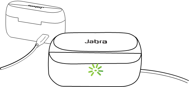 OPLAADCASE STATUS MET USB-KABEL