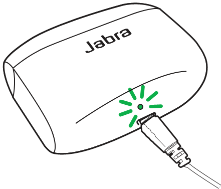 De oplaadcase opladen