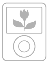 Afbeelding van een iPod nano 3e generatie