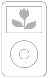 Afbeelding van een iPod Classic