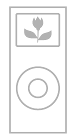 Afbeelding van een iPod nano 2e generatie