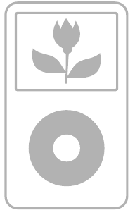 Afbeelding van een iPod 5e generatie