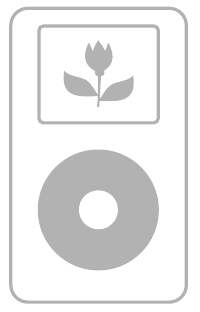 Afbeelding van een iPod 4e generatie (kleurendisplay)