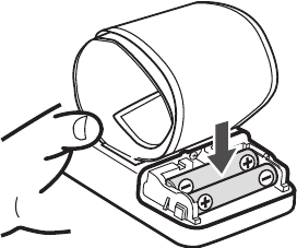 Batterijen plaatsen