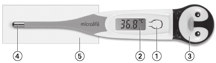 Beschrijving van deze Thermometer