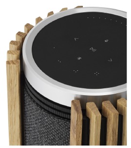 Bang & Olufsen BeoLab 28 luidsprekers