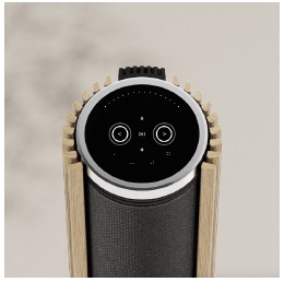 Bang & Olufsen BeoLab 28 luidsprekers