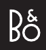 Bang & Olufsen BeoLab 28 luidsprekers