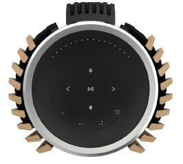 Bang & Olufsen BeoLab 28 luidsprekers