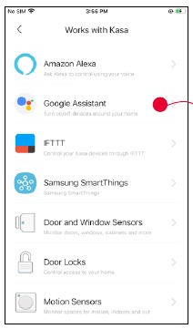 Google Assistant