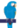blueparrott.com
