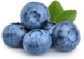 Blauwe Bessentaart