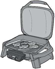 Directe barbecue-opstelling