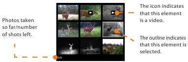 Foto's beheren met behulp van het weergavescherm van een camera