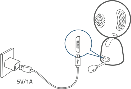 De camera opladen