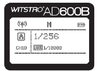 AD600B flitser