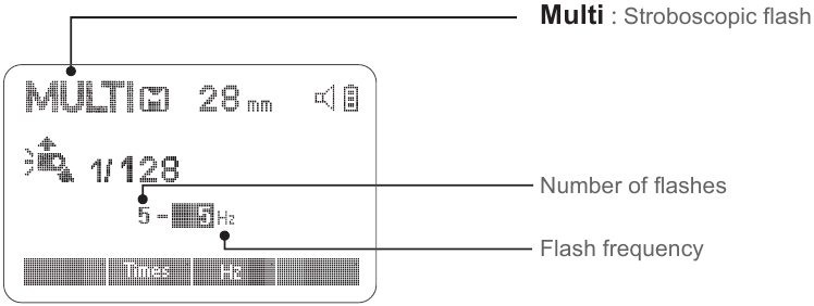 Multiflits