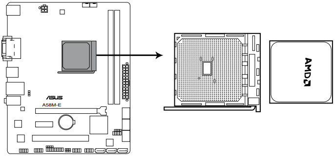 Accelerated Processing Unit (APU)