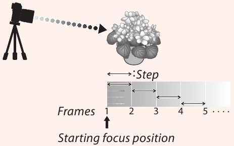 Relatie tussen scherpte en Frames/Step