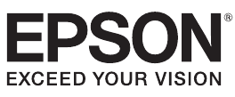 Epson inkt flessen