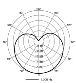 Polair patroon