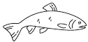 Vis