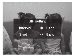 Instellingen voor GIF-opname