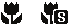 Macro-pictogram