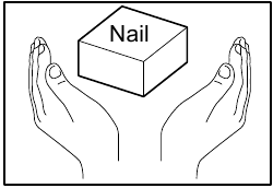 Nagels
