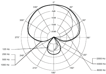 Polair patroon