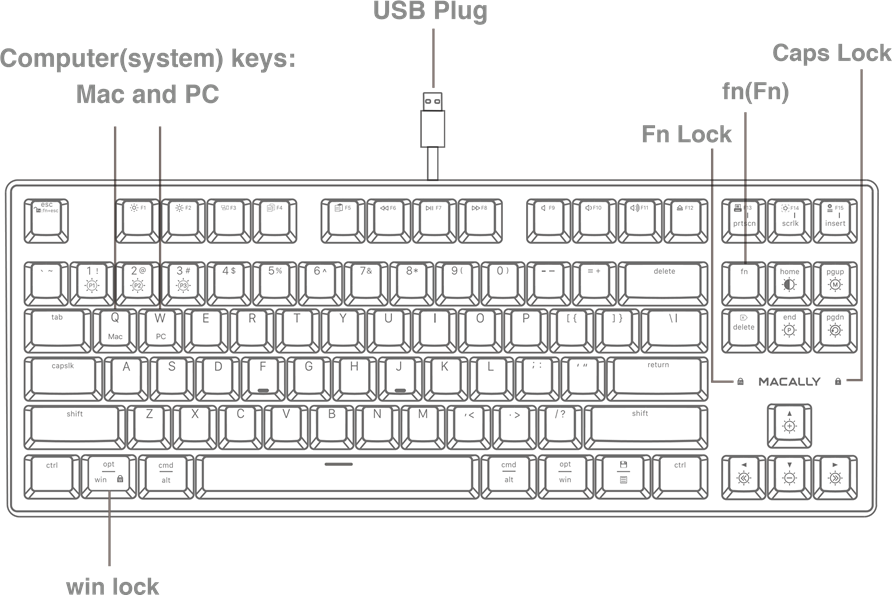 Hardware Basics