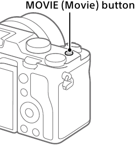 Filmknop