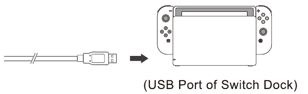 Verbinding maken met Switch-dock