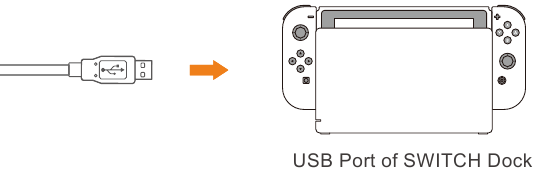 Verbinding maken met Switch-dock