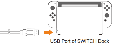 Verbinding maken met het SWITCH-dock