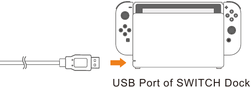Verbinden met SWITCH Dock