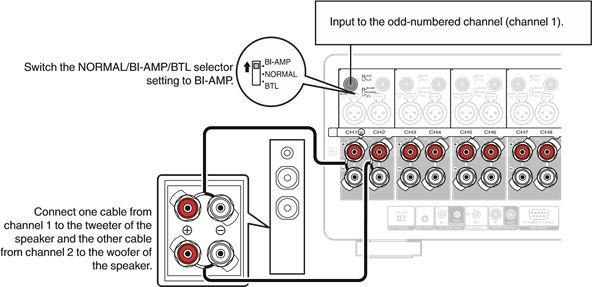 Bi-amp-aansluiting