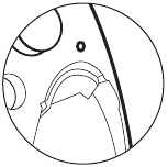 Resetknop onder de rechterkant van de faceplate