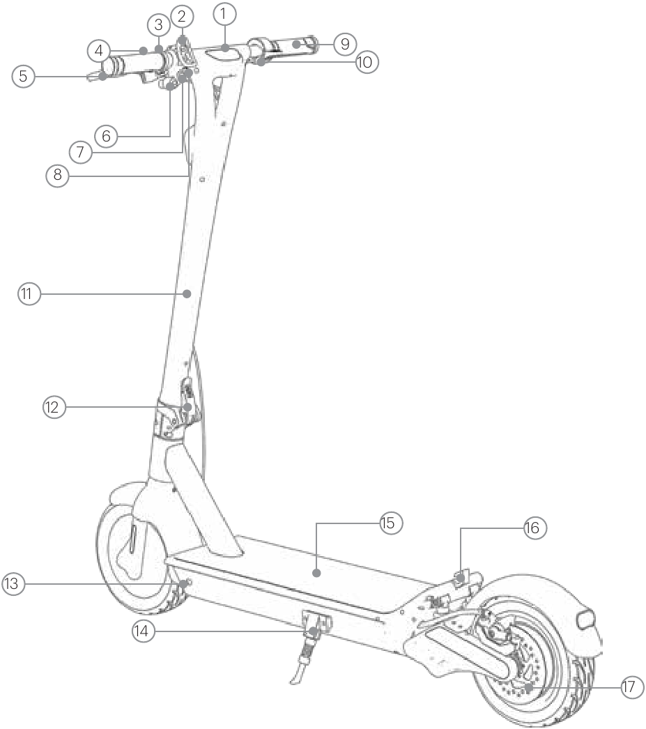DIAGRAMFUNCTIES / ONDERDELEN - Deel 1