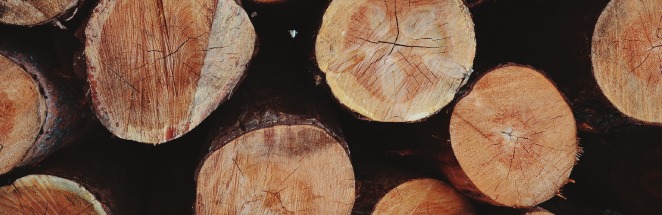 HOE ONZE PELLETS WORDEN GEMAAKT - Stap 1