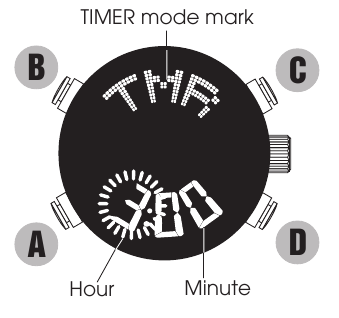 Timer instellen