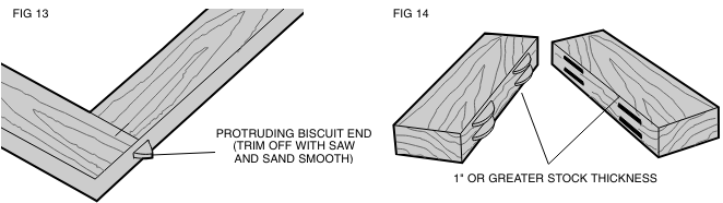BISCUITLOCATIE EN INDELING