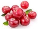 Gedroogde cranberry's