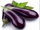 Gedroogde aubergine/pompoen