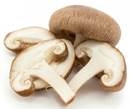 Gedroogde champignons