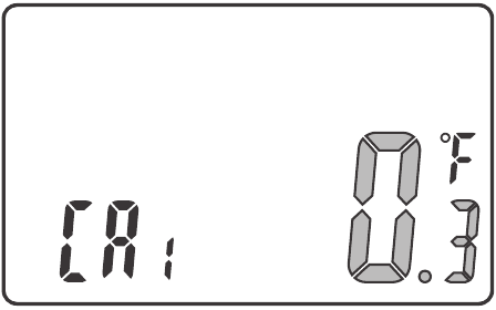 CA1 functie