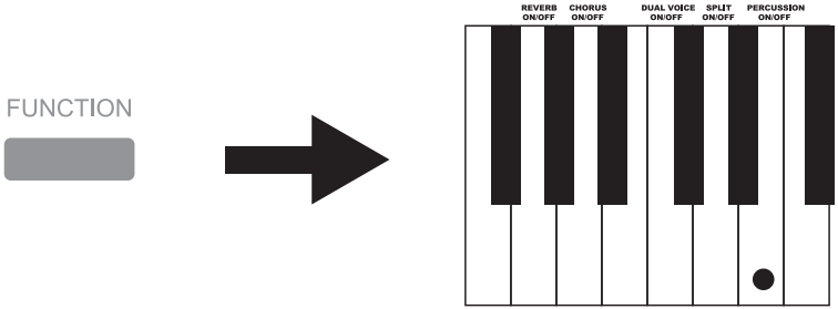 DE PERCUSSIE INSTELLING GEBRUIKEN
