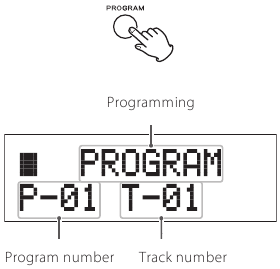 Program knop