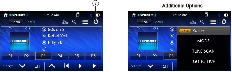 Aanvullende opties voor SiriusXM-satellietradio